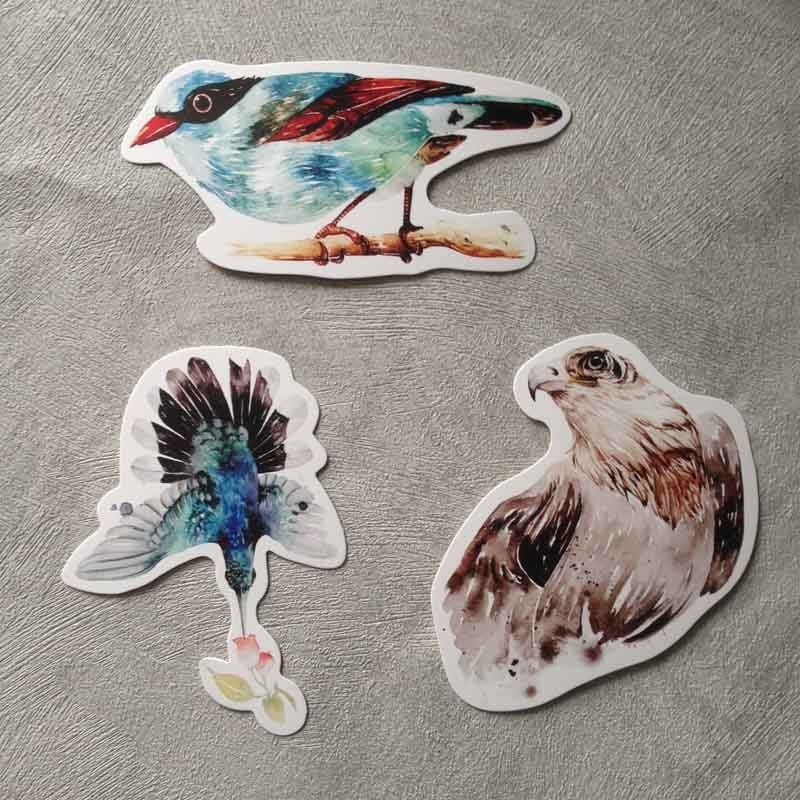 Cartes postales oiseaux