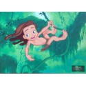 Carte postale Tarzan