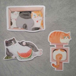 Cartes postales chats rigolos
