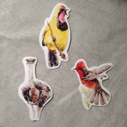 Cartes postales oiseaux