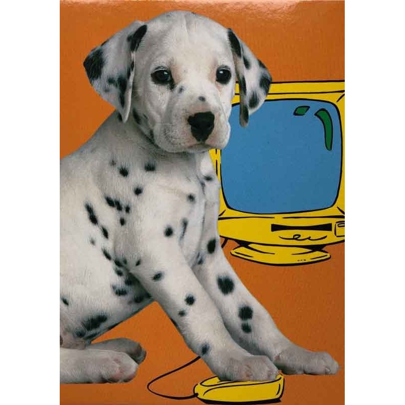 Carte postale chiot dalmatien