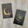 Cartes postales rabbit moonlight