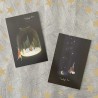 Cartes postales rabbit moonlight