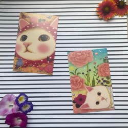 Cartes postales vintage chat