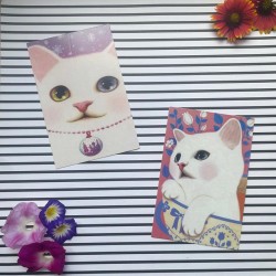 Cartes postales vintage chat