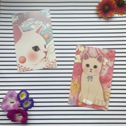 Cartes postales vintage chat