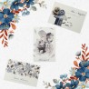 Cartes postales fées de la nature