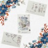 Cartes postales fées de la nature