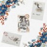 Cartes postales fées de la nature