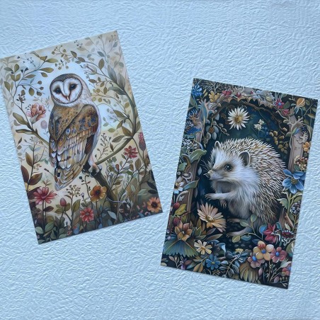 Cartes postales animaux et végétation