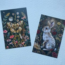 Cartes postales animaux et...