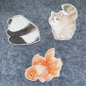 Cartes postales trio d'animaux mignons